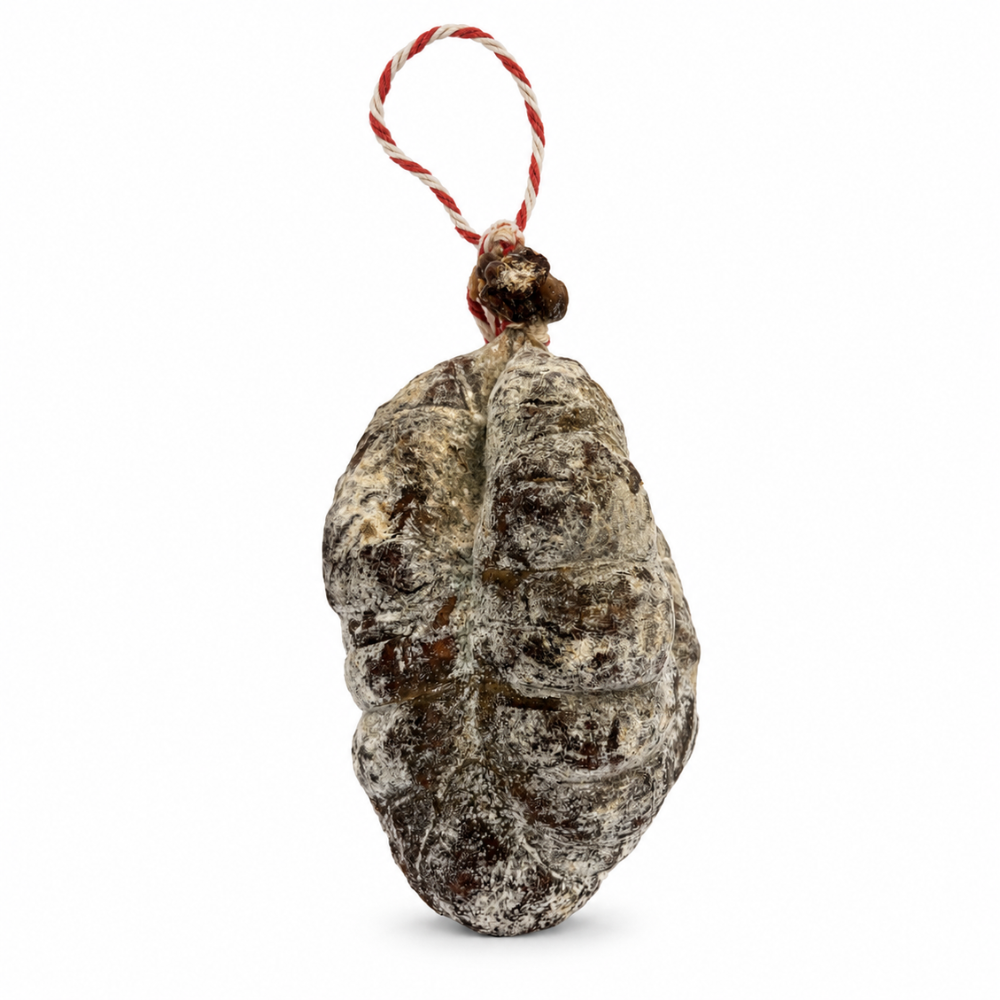 Morcón ibérico